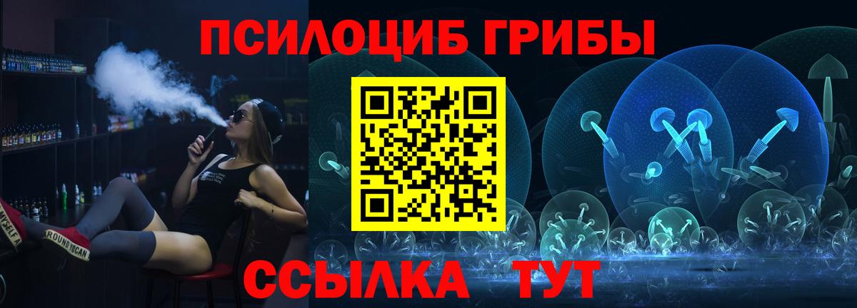 Кондопога  Галлюциногенные грибы прущие грибы  Вход с VPN  Галлюциногенные грибы Psilocybine cubensis 
