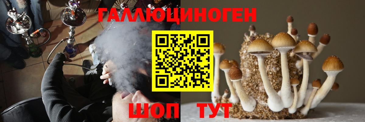 Псилоцибиновые грибы ЛСД Кондопога